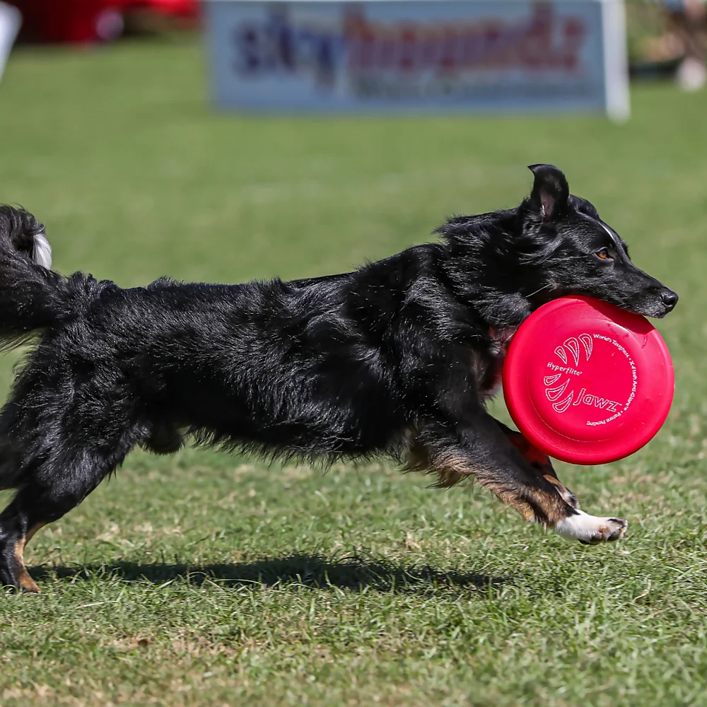 Bissstarke Hundefrisbee Hyperflite K10 Jawz Pup Rot Bissstarke Hundefrisbee Hyperflite K10 Jawz Pup Rot