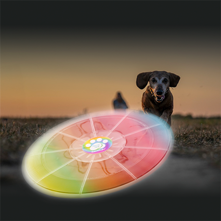 Nite Ize Flashflight Dog Discuit LED Frisbee