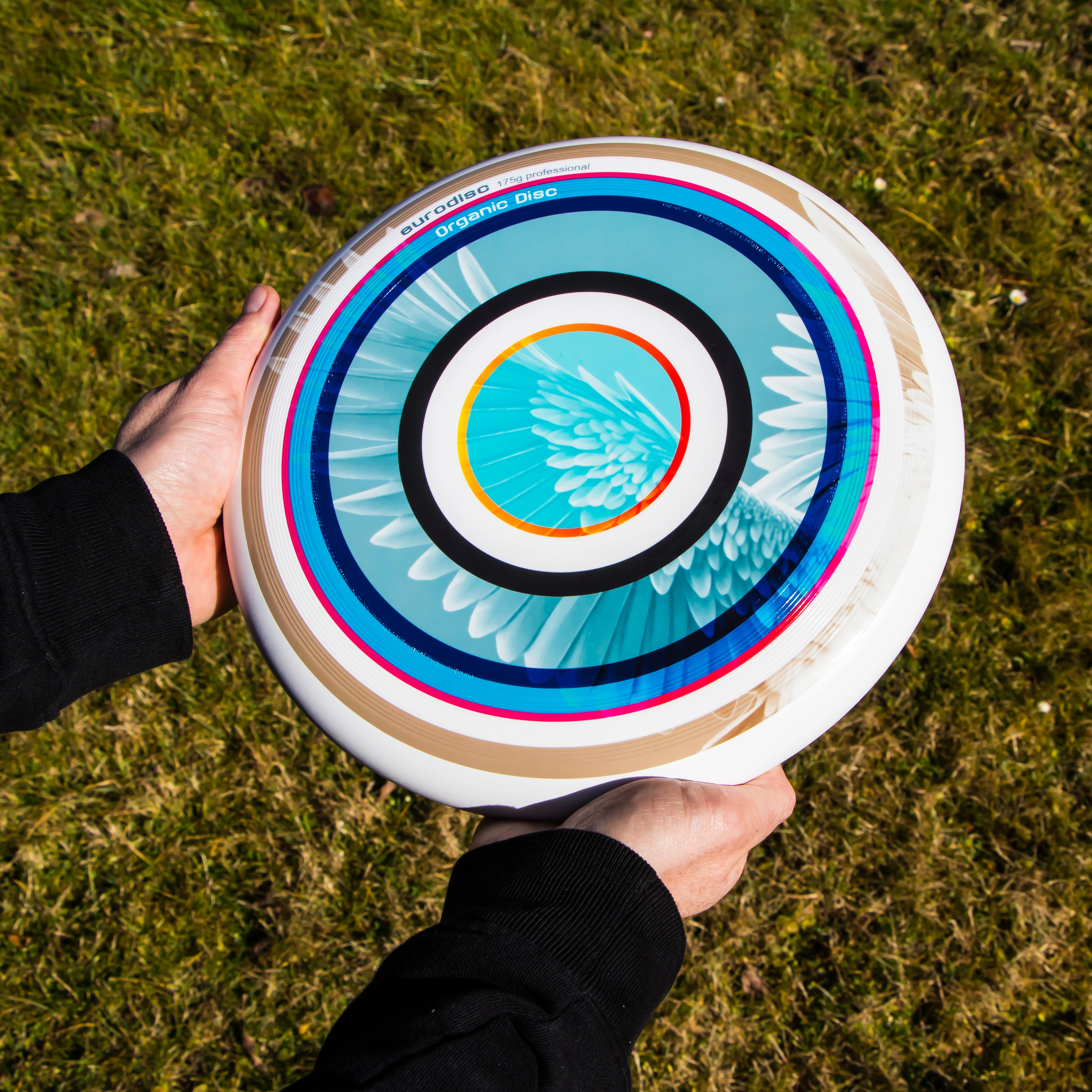 eurodisc 175g Ultimate Frisbee Summer Wings 