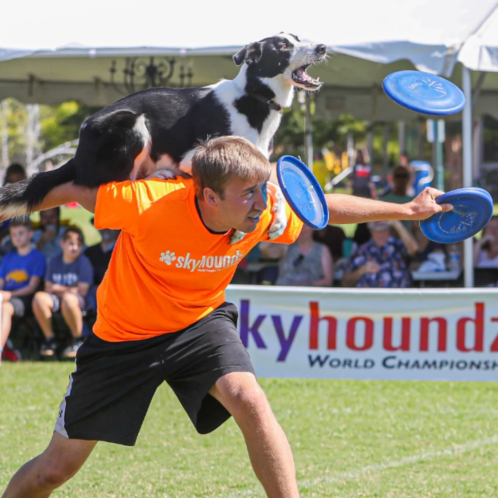 Bissstarke Hundefrisbee Hyperflite Jawz - Rot